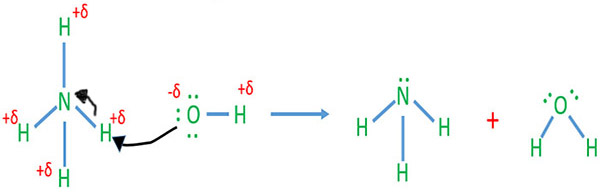 Ammonium salt and alkali reaction mechanism
